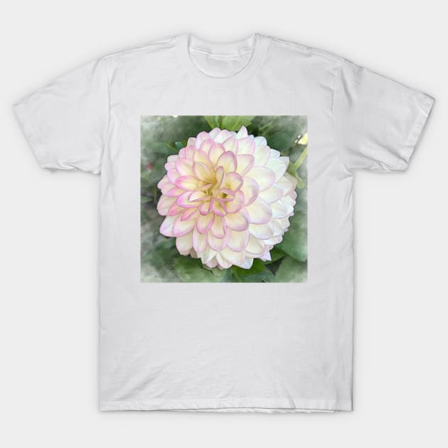 Dahlia Bloom Of Pink, Yellow And White T-Shirt by KirtTisdale